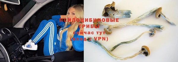ECSTASY Нефтекумск