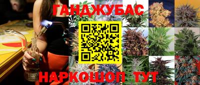 прущие крисы Гагарин