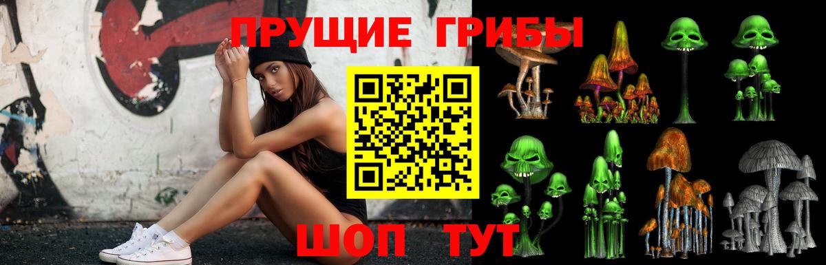 Галлюциногенные грибы MAGIC MUSHROOMS Кунгур